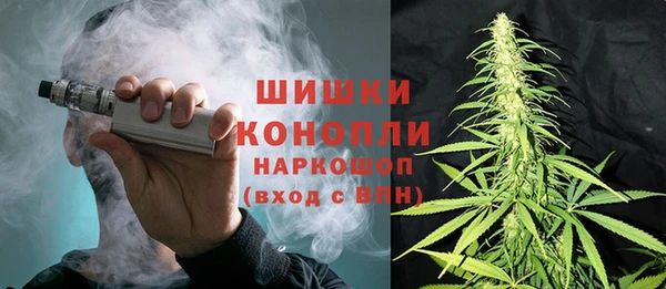 винт Алзамай