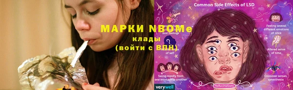 винт Алзамай