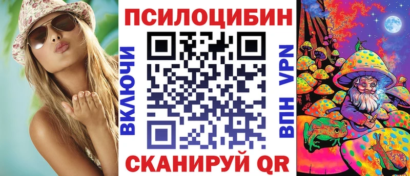 мориарти как зайти Невьянск Галлюциногенные грибы MAGIC MUSHROOMS даркнет сайт