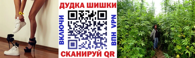 Конопля план  Невьянск 